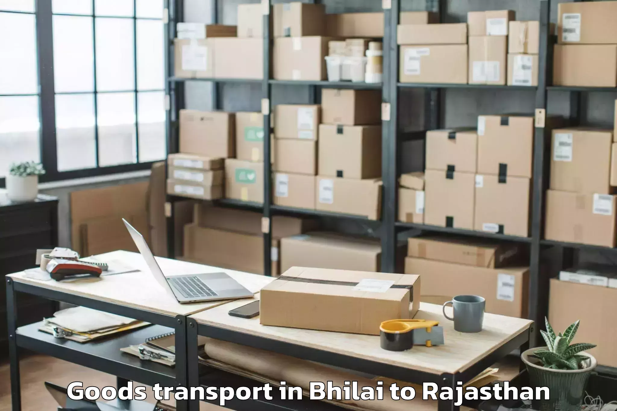 Comprehensive Bhilai to Ladnun Goods Transport